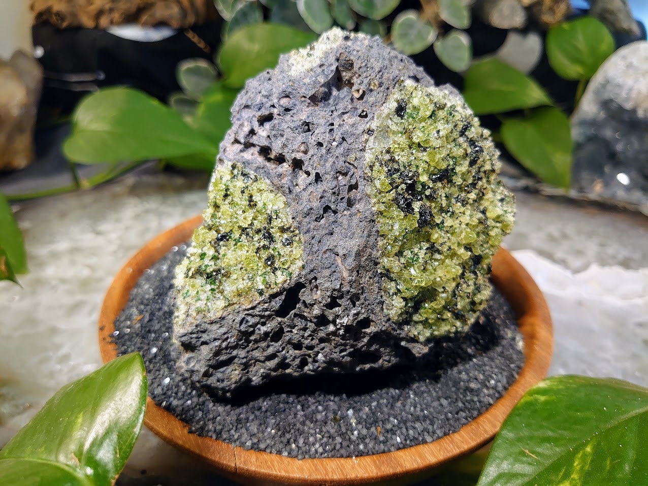 684g Peridot Druzy with Black Tourmaline on Basalt from Arizona  for Home and Altar Decor / Meditation / Reiki / Gifting / Collection