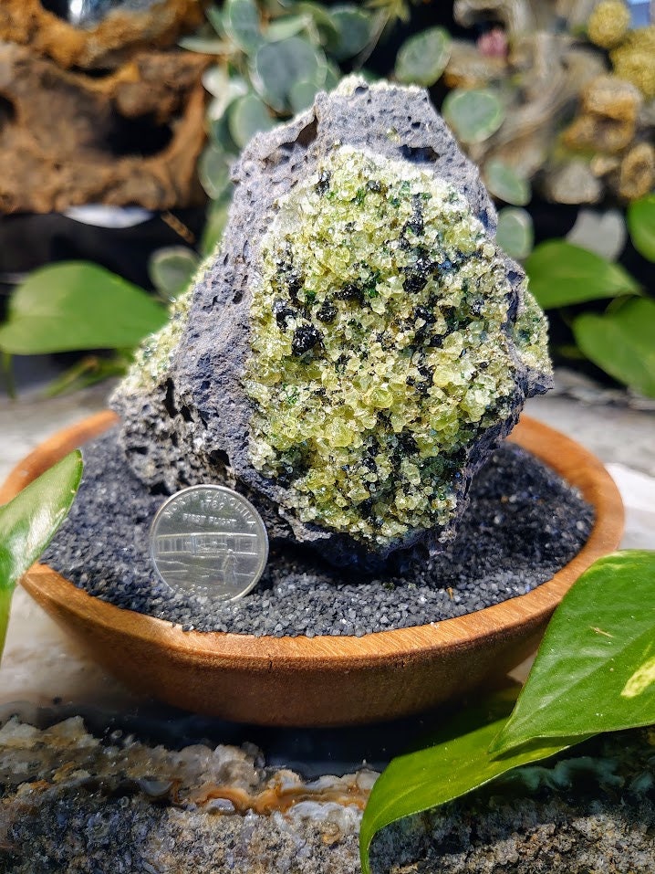 684g Peridot Druzy with Black Tourmaline on Basalt from Arizona  for Home and Altar Decor / Meditation / Reiki / Gifting / Collection