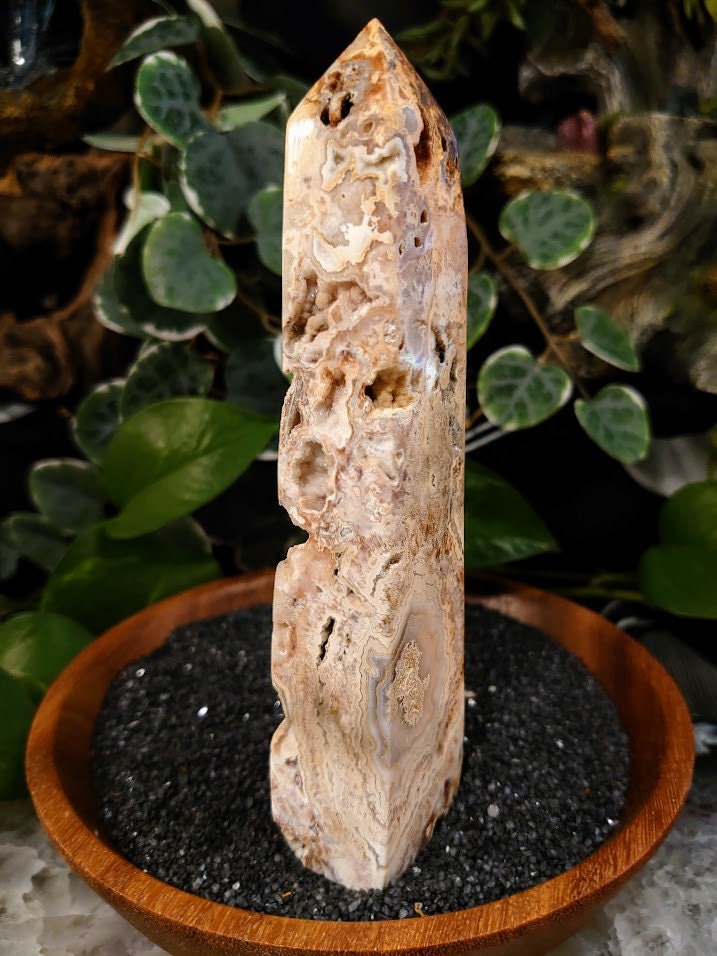 6.125" Crazy Lace Agate Tower with Crystal Druzy Pockets from Indonesia for Home and Altar Decor / Crystal Healing / Generator / Obelisk