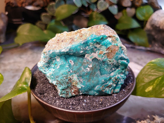 232g Natural Chrysocolla with Druzy on Matrix for Home and Altar Decor / Energy Work / Crystal Healing / Collection / Gifting for Her & Him