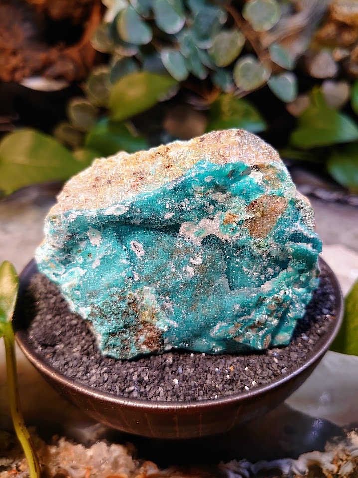 232g Natural Chrysocolla with Druzy on Matrix for Home and Altar Decor / Energy Work / Crystal Healing / Collection / Gifting for Her & Him