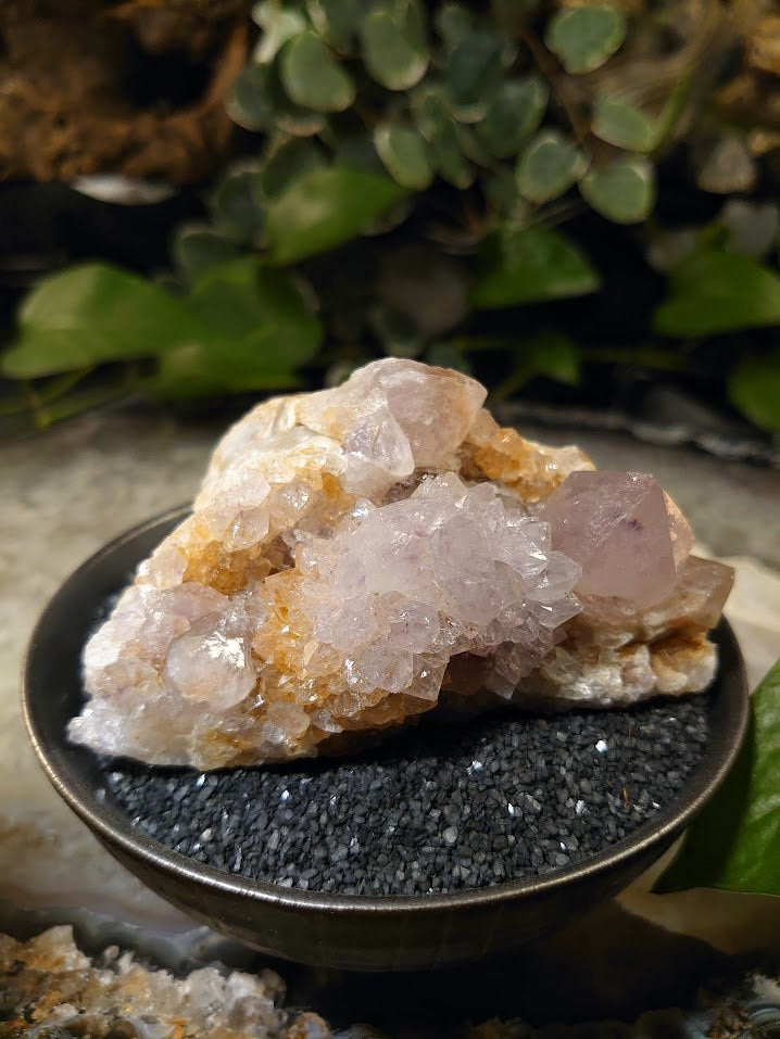 250g Spirit Quartz Cluster with Limonite from ZA / Cactus Quartz / Spirit Amethyst for Crystal Healing / Meditation/ Reiki / Gifting