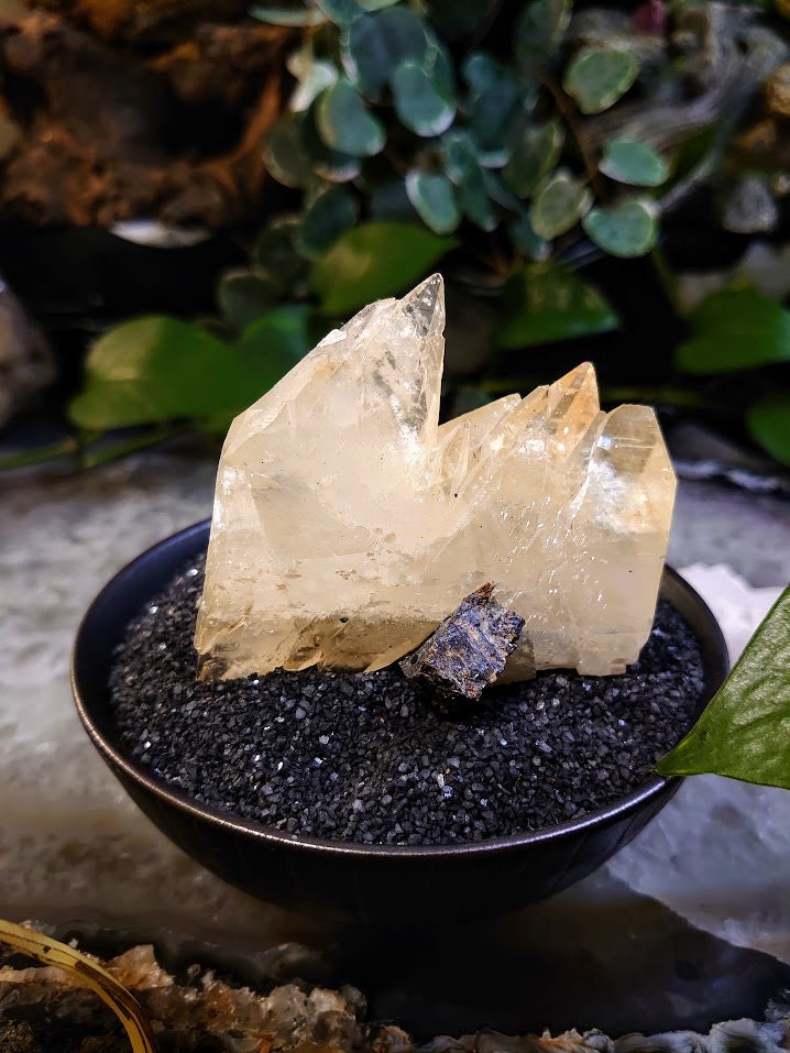 142g Golden Elmwood Dogtooth Calcite Cluster with Sphalerite from Carthage, Tennessee for Collection / Home and Altar Decor / Meditation