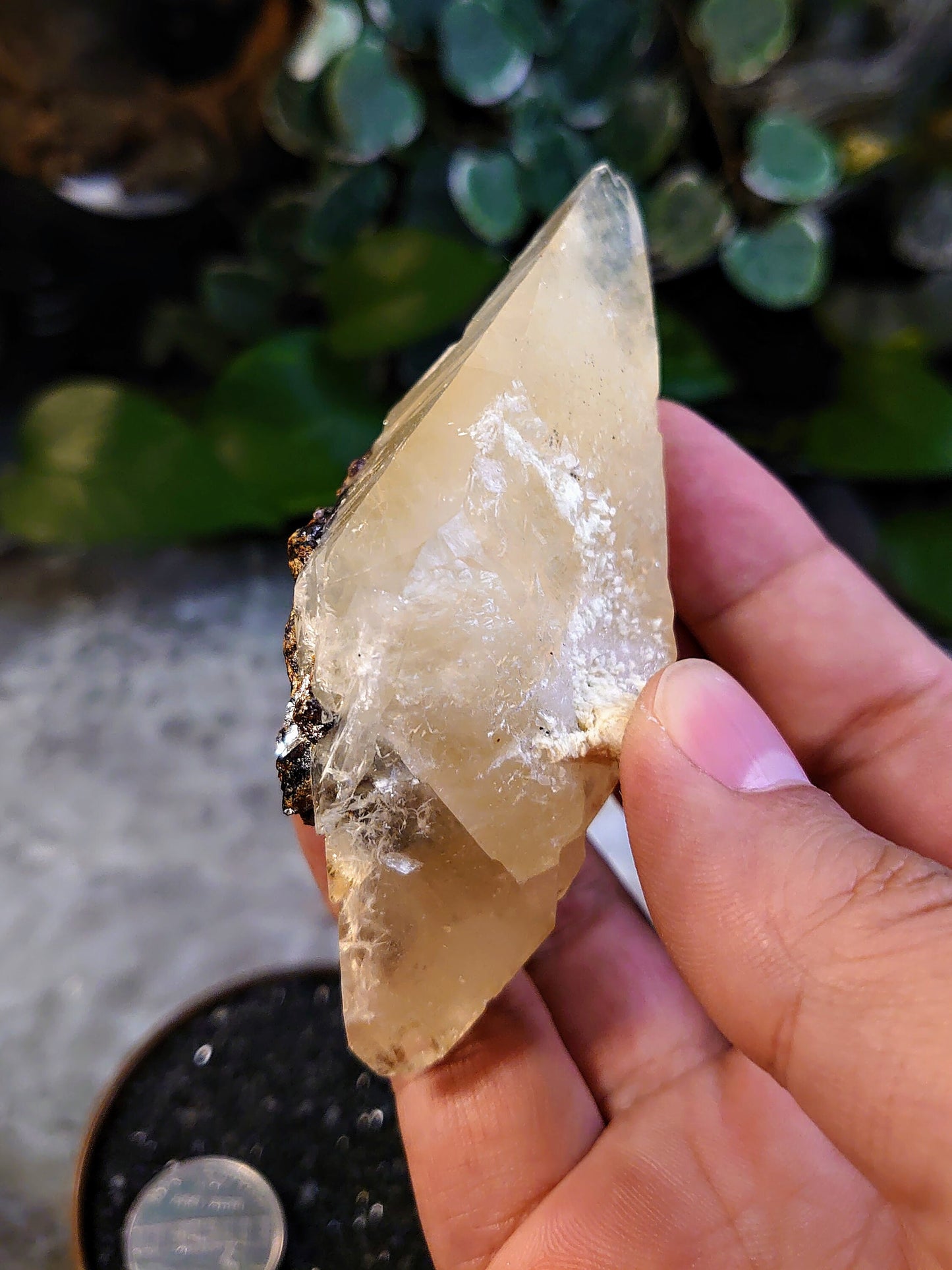 136g Scalenohedral Elmwood Dogtooth Calcite with Sphalerite from Carthage, Tennessee for Collection / Home and Altar Decor