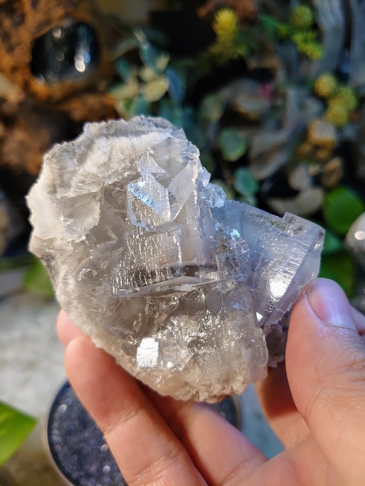 362g Clear Cubic Fluorite Cluster with Phantoms from Emilio Mine, Asturias, Spain for Collection / Home & Altar Decor / Meditation