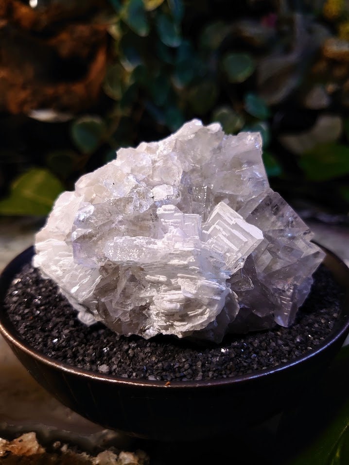 239g Clear Fluorite Cluster with Barite Flower from Emilio Mine, Asturias, Spain for Collection / Home & Altar Decor / Meditation