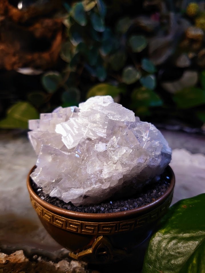 239g Clear Fluorite Cluster with Barite Flower from Emilio Mine, Asturias, Spain for Collection / Home & Altar Decor / Meditation