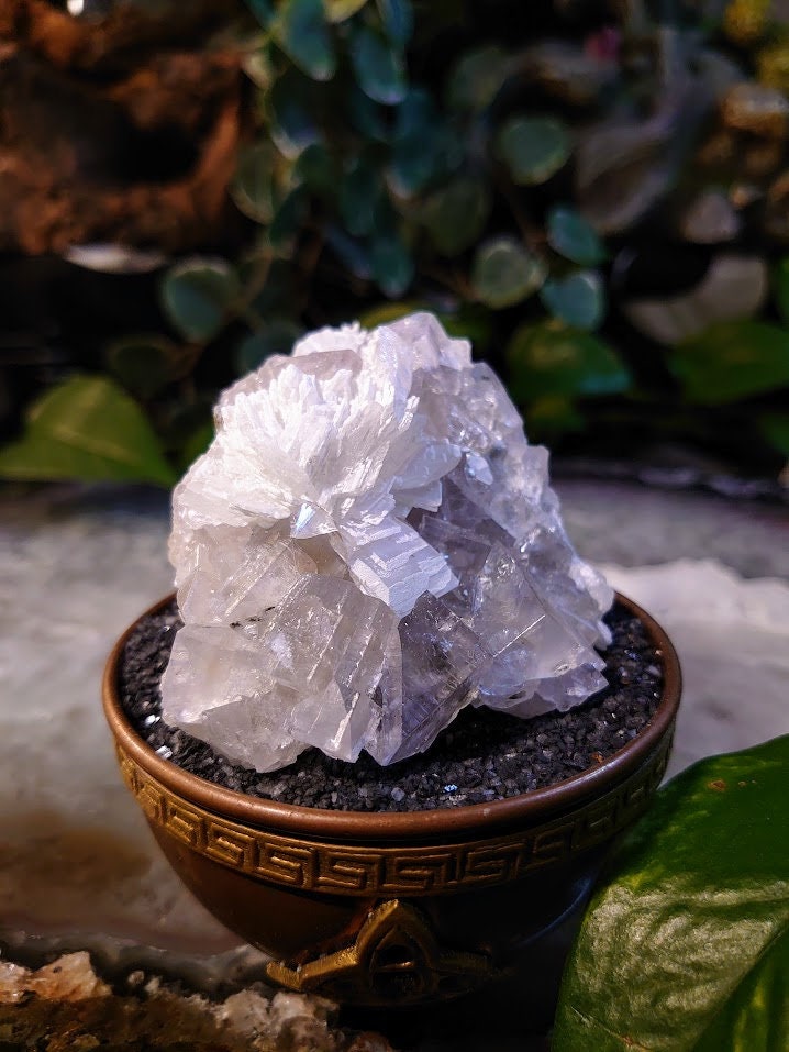 239g Clear Fluorite Cluster with Barite Flower from Emilio Mine, Asturias, Spain for Collection / Home & Altar Decor / Meditation