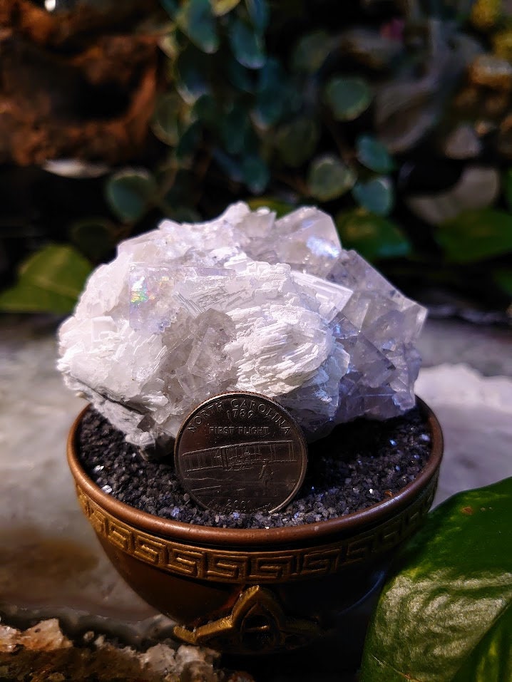 239g Clear Fluorite Cluster with Barite Flower from Emilio Mine, Asturias, Spain for Collection / Home & Altar Decor / Meditation