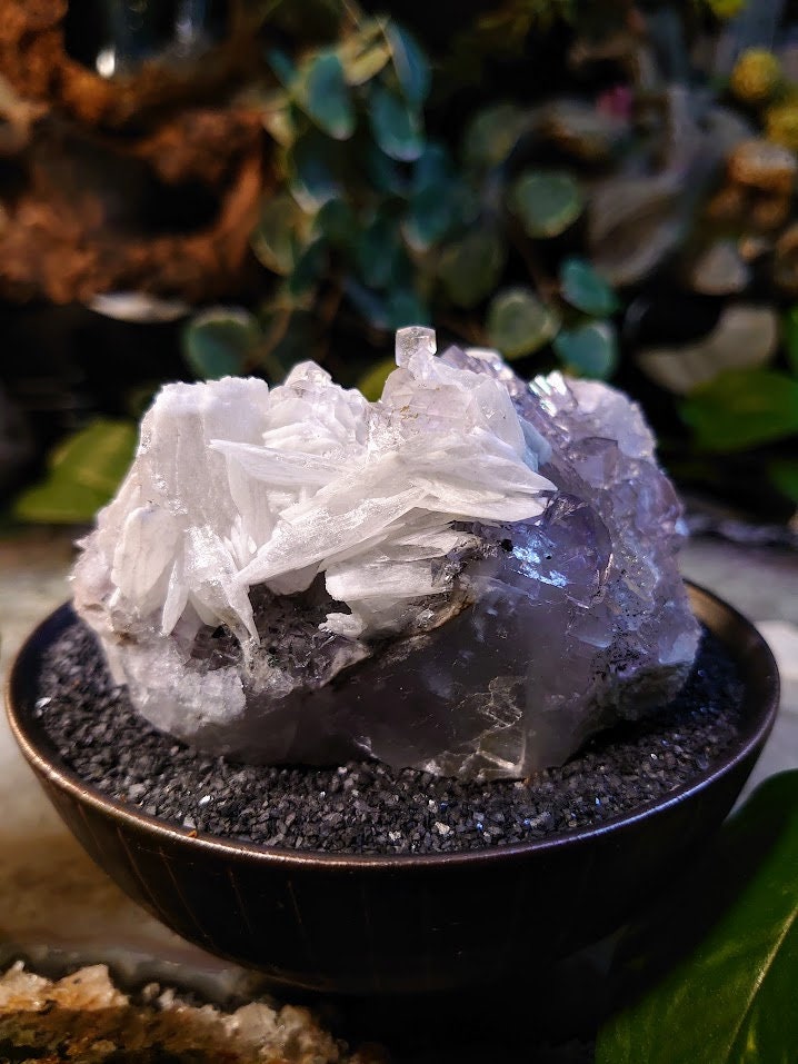 322g Clear Fluorite Cluster with Barite Blades and Pyrite Dusting from Emilio Mine, Asturias, Spain for Collection / Home & Altar Decor