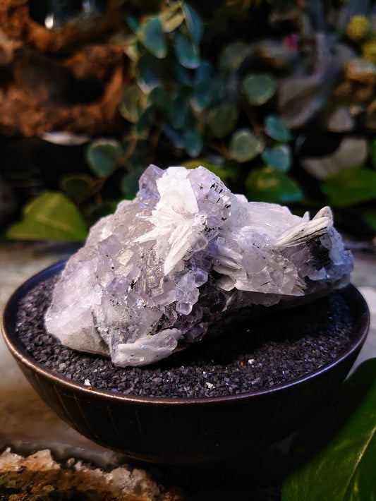 322g Clear Fluorite Cluster with Barite Blades and Pyrite Dusting from Emilio Mine, Asturias, Spain for Collection / Home & Altar Decor