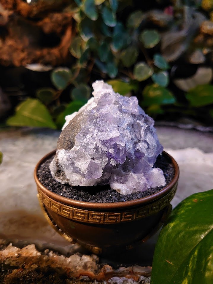 181g Clear Fluorite Cluster with Chalcedony Druzy from Emilio Mine, Asturias, Spain for Collection / Home & Altar Decor