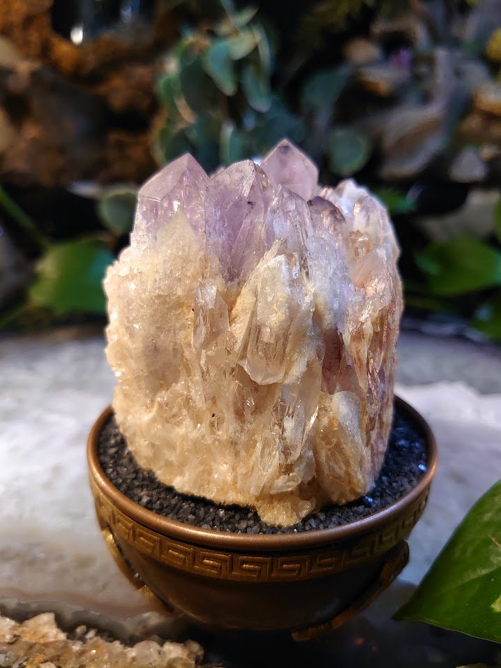 364g Light Purple Amethyst Cluster from Zambia for Altar and Home Decor / Energy Work / Crystal Healing / Reiki