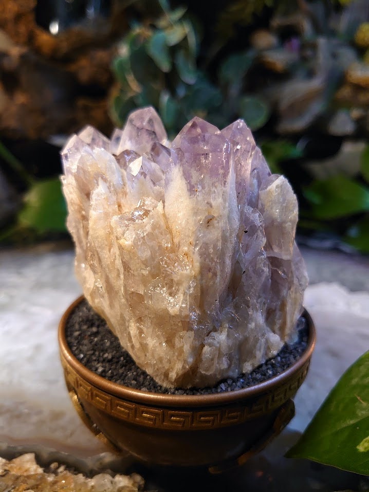 364g Light Purple Amethyst Cluster from Zambia for Altar and Home Decor / Energy Work / Crystal Healing / Reiki