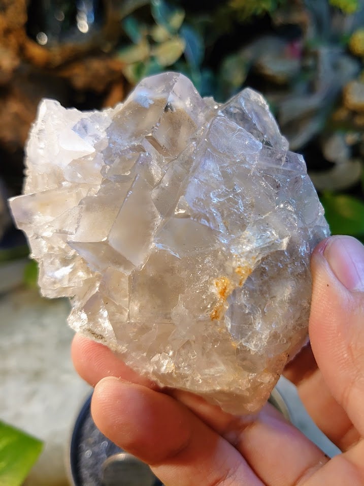 345g Clear Fluorite Cluster with Light Yellow Zoning from Emilio Mine, Asturias, Spain for Collection / Home & Altar Decor / Meditation