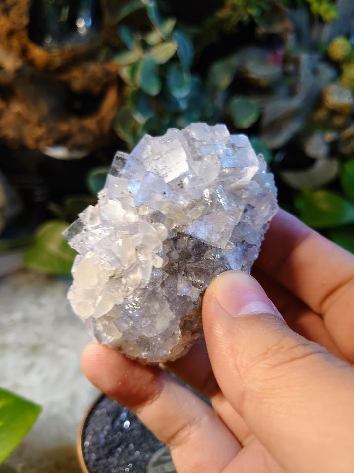 200g Gemmy Fluorite Cluster with Dogtooth Calcite from Emilio Mine, Asturias, Spain for Collection / Home & Altar Decor / Meditation