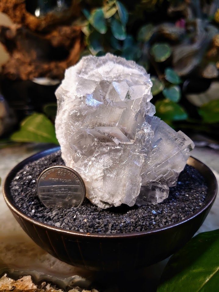 362g Clear Cubic Fluorite Cluster with Phantoms from Emilio Mine, Asturias, Spain for Collection / Home & Altar Decor / Meditation