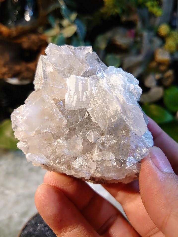 239g Clear Fluorite Cluster with Barite Flower from Emilio Mine, Asturias, Spain for Collection / Home & Altar Decor / Meditation