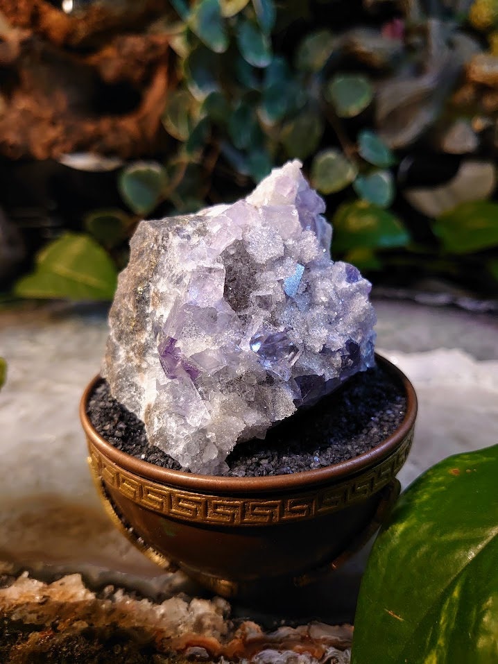 181g Clear Fluorite Cluster with Chalcedony Druzy from Emilio Mine, Asturias, Spain for Collection / Home & Altar Decor