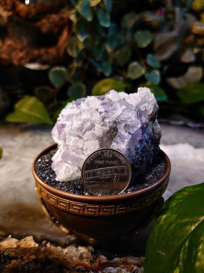 181g Clear Fluorite Cluster with Chalcedony Druzy from Emilio Mine, Asturias, Spain for Collection / Home & Altar Decor