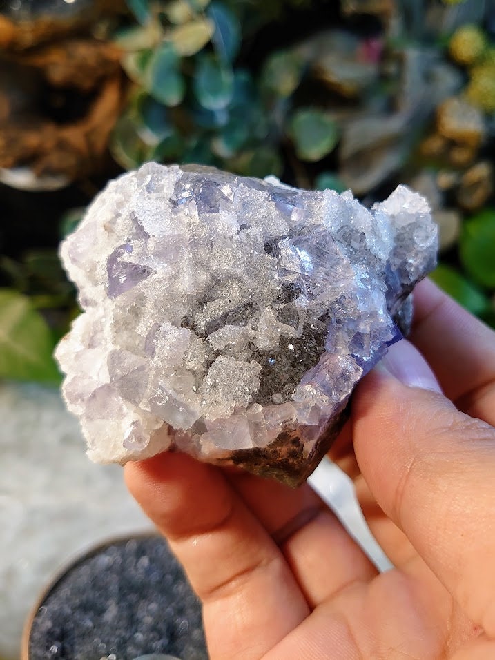 181g Clear Fluorite Cluster with Chalcedony Druzy from Emilio Mine, Asturias, Spain for Collection / Home & Altar Decor