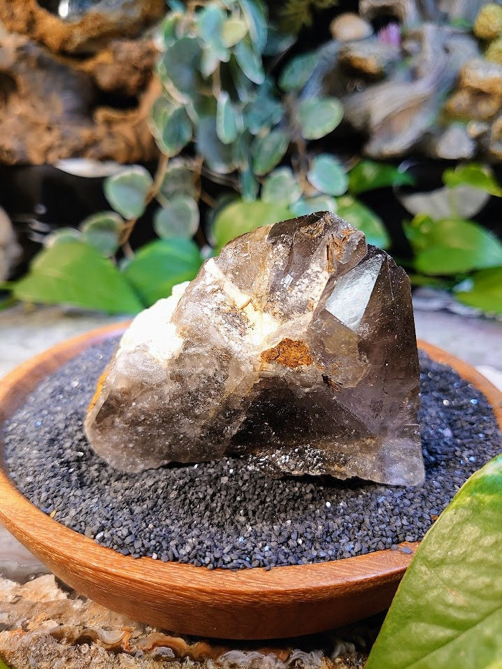 286g Natural Smoky Quartz Cluster with Heavy Etching from Malawi, Africa for Collection / Home & Altar Decor / Protection / Crystal Healing