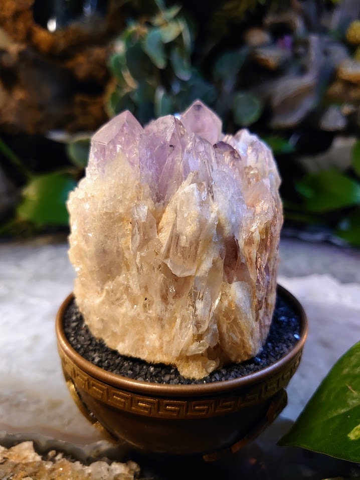 364g Light Purple Amethyst Cluster from Zambia for Altar and Home Decor / Energy Work / Crystal Healing / Reiki