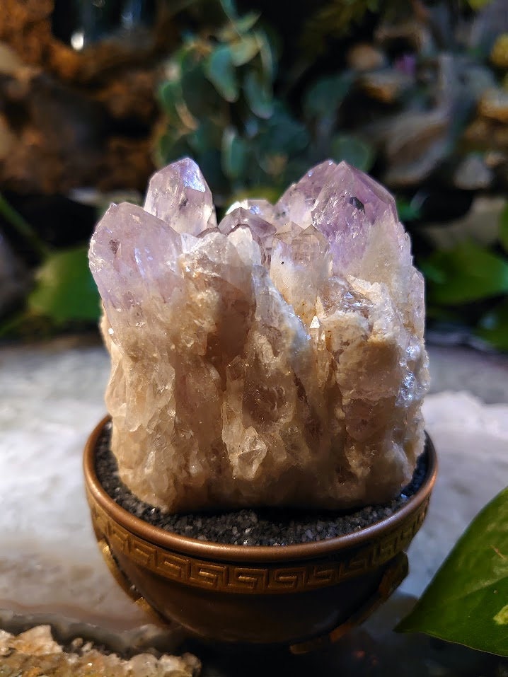 364g Light Purple Amethyst Cluster from Zambia for Altar and Home Decor / Energy Work / Crystal Healing / Reiki