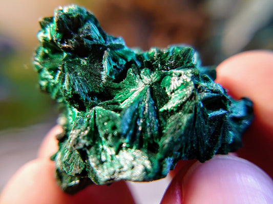 36.6g Small Silky Fibrous Malachite Specimen from Kasompe, Congo for Home and Altar Decor / Collection / Crystal Healing