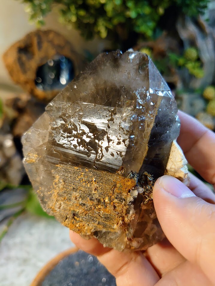 286g Natural Smoky Quartz Cluster with Heavy Etching from Malawi, Africa for Collection / Home & Altar Decor / Protection / Crystal Healing