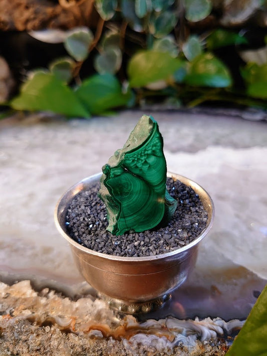 Small Malachite Polished Slice from Kasompe, Congo for Home and Altar Decor / Collection / Crystal Healing