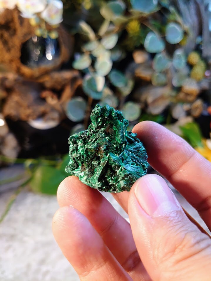 36.6g Small Silky Fibrous Malachite Specimen from Kasompe, Congo for Home and Altar Decor / Collection / Crystal Healing