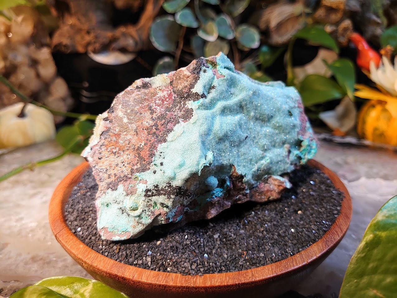 631g Natural Chrysocolla with Malachite and Druzy on Matrix for Home and Altar Decor / Energy Work / Crystal Healing / Collection