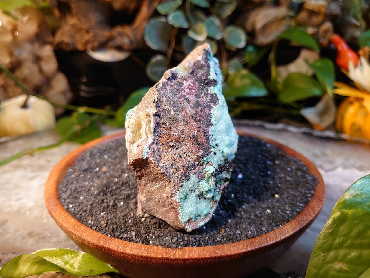 631g Natural Chrysocolla with Malachite and Druzy on Matrix for Home and Altar Decor / Energy Work / Crystal Healing / Collection