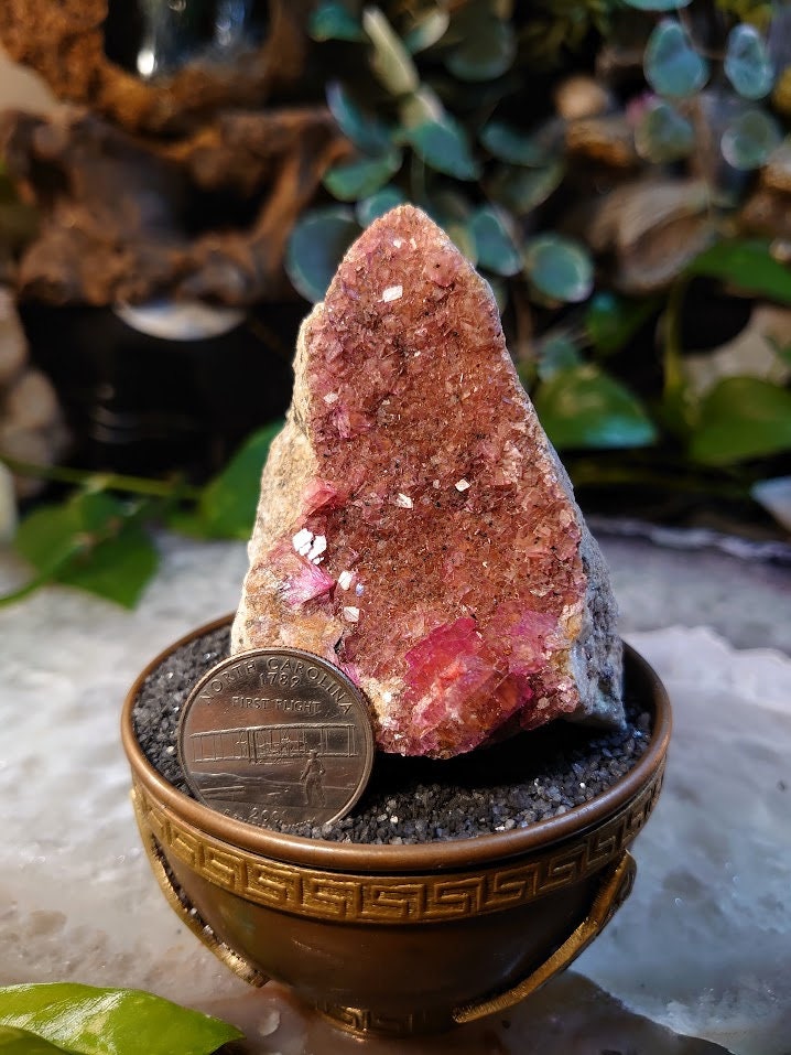 260g Natural Pink Cobaltoan Calcite with Gemmy Crystals on Matrix for Home and Altar Decor / Salrose / Crystal Healing / Collection