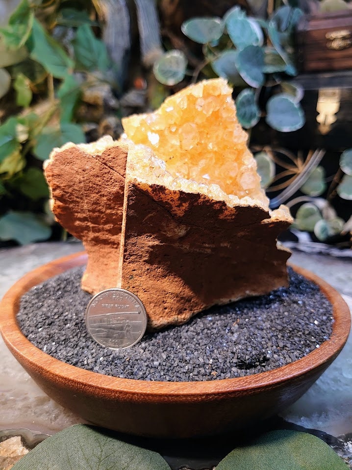 546g Natural Limonite Golden Healer Quartz/Citrine Geode from Zambia, Africa for Crystal Healing / Reiki / Home & Altar Decor