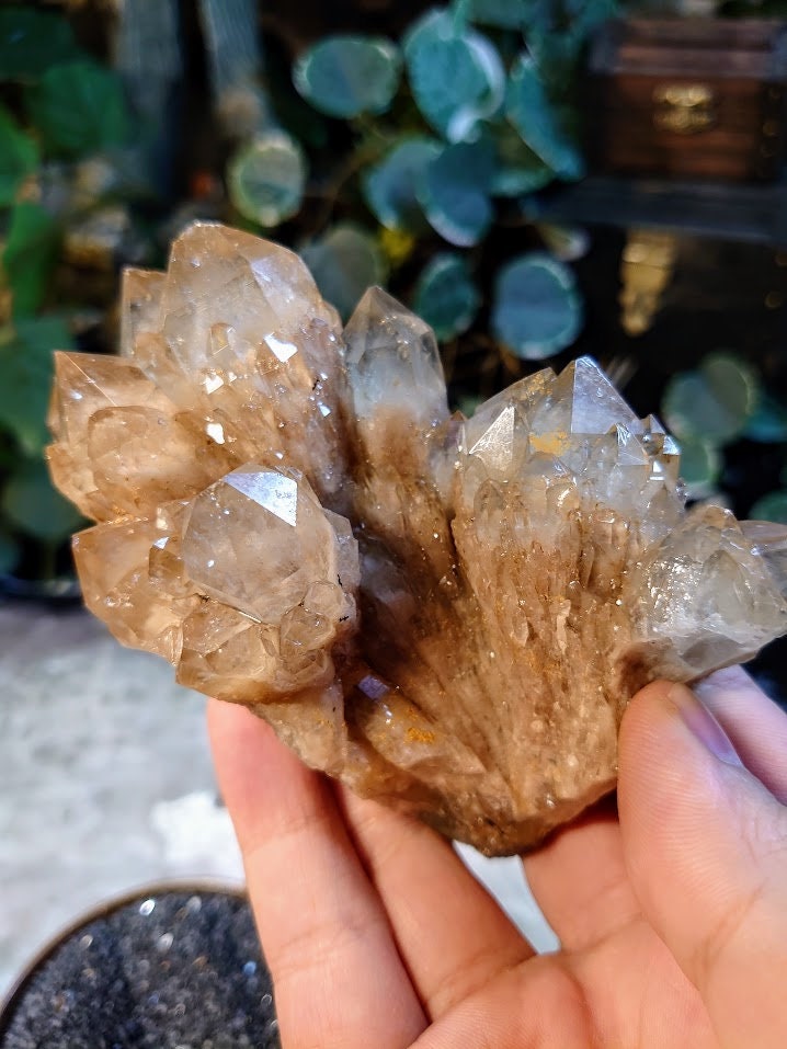 374g Natural Kundalini Congo Citrine Cluster for Altar and Home Decor / Energy Work / Crystal Healing / Reiki