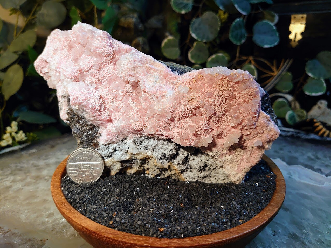 Natural Rhodochrosite store with Quartz Druzy Crystal Mineral Collectors Specimen