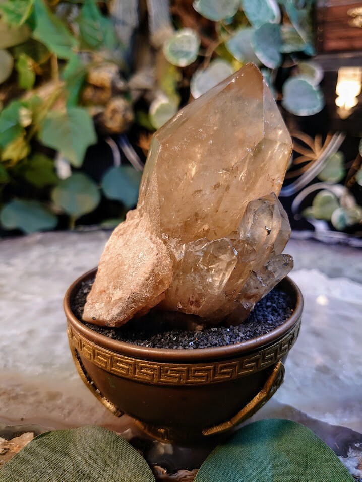 289g Large Natural Kundalini Congo Citrine Point on Cluster for Altar and Home Decor / Energy Work / Crystal Healing / Reiki