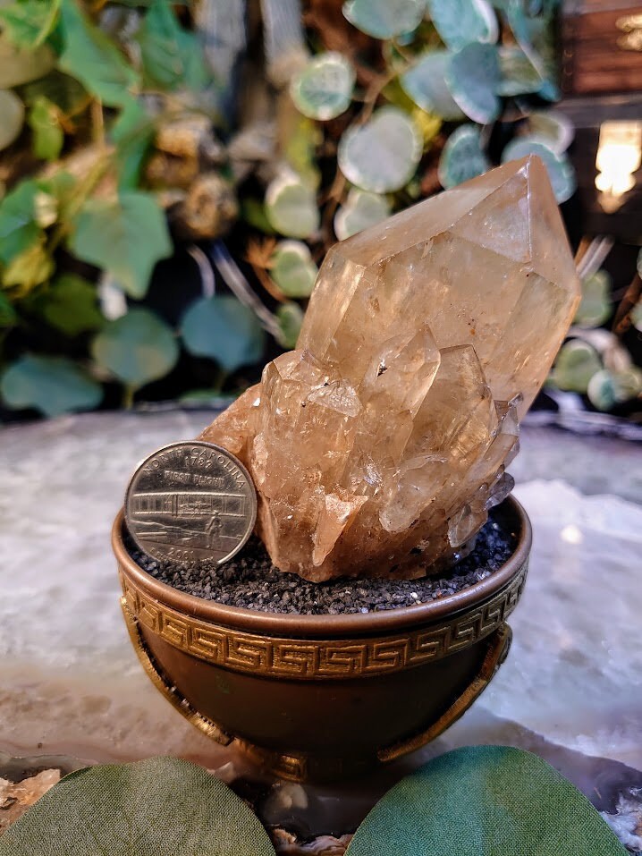 289g Large Natural Kundalini Congo Citrine Point on Cluster for Altar and Home Decor / Energy Work / Crystal Healing / Reiki