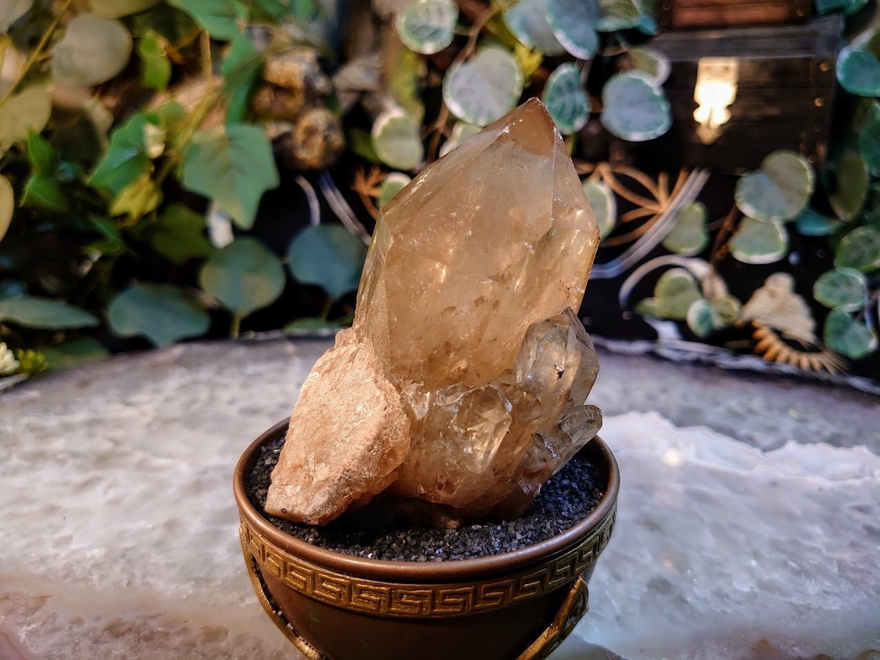 289g Large Natural Kundalini Congo Citrine Point on Cluster for Altar and Home Decor / Energy Work / Crystal Healing / Reiki