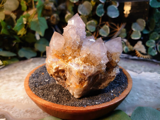 550g Spirit Quartz Cluster from ZA / Cactus Quartz / Spirit Amethyst for Crystal Healing / Meditation/ Reiki / Gifting