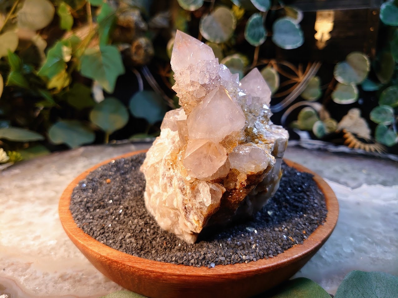 550g Spirit Quartz Cluster from ZA / Cactus Quartz / Spirit Amethyst for Crystal Healing / Meditation/ Reiki / Gifting