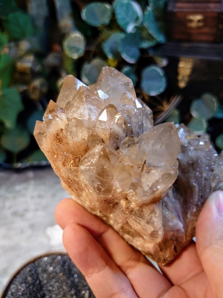 374g Natural Kundalini Congo Citrine Cluster for Altar and Home Decor / Energy Work / Crystal Healing / Reiki