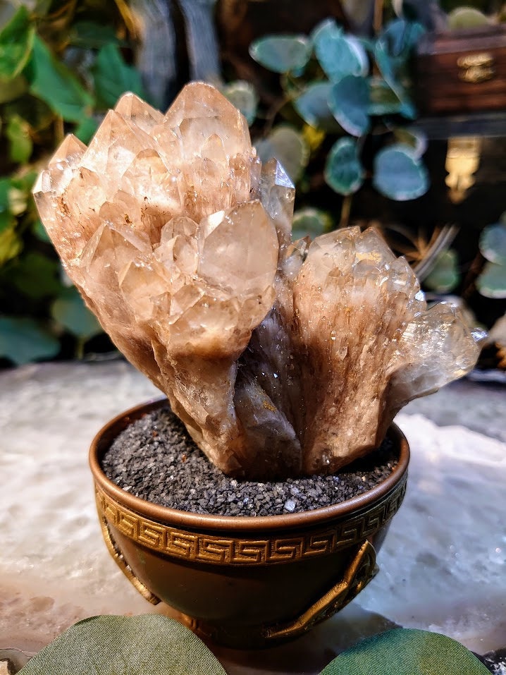 374g Natural Kundalini Congo Citrine Cluster for Altar and Home Decor / Energy Work / Crystal Healing / Reiki