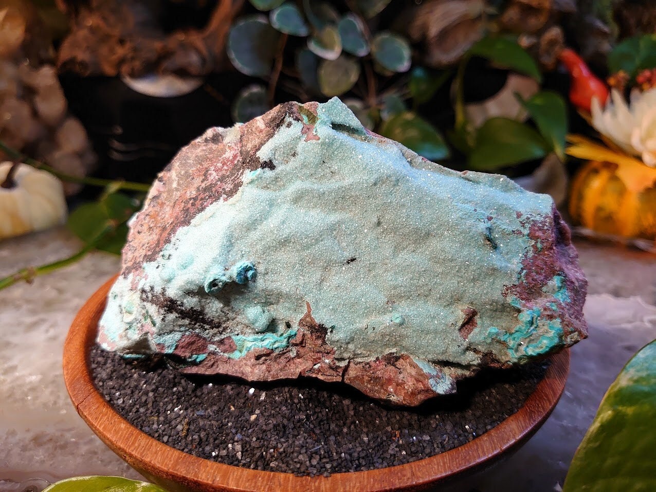 631g Natural Chrysocolla with Malachite and Druzy on Matrix for Home and Altar Decor / Energy Work / Crystal Healing / Collection