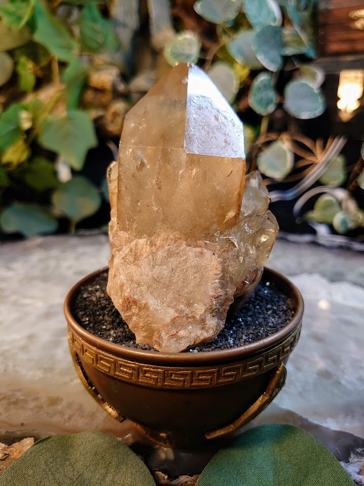 289g Large Natural Kundalini Congo Citrine Point on Cluster for Altar and Home Decor / Energy Work / Crystal Healing / Reiki