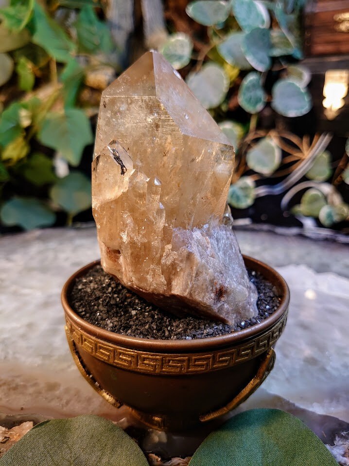 289g Large Natural Kundalini Congo Citrine Point on Cluster for Altar and Home Decor / Energy Work / Crystal Healing / Reiki