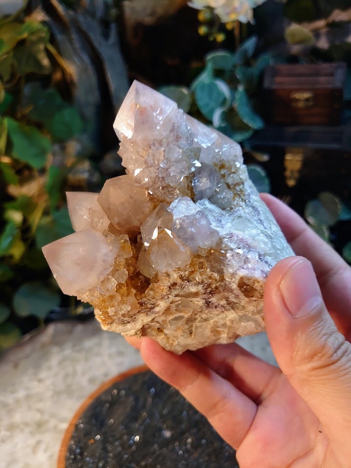 550g Spirit Quartz Cluster from ZA / Cactus Quartz / Spirit Amethyst for Crystal Healing / Meditation/ Reiki / Gifting