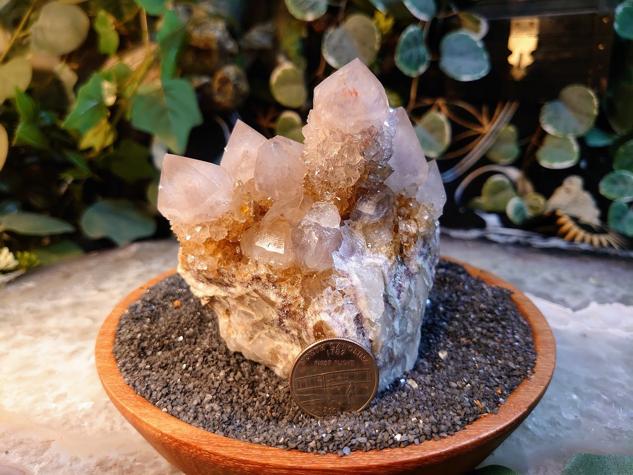 550g Spirit Quartz Cluster from ZA / Cactus Quartz / Spirit Amethyst for Crystal Healing / Meditation/ Reiki / Gifting